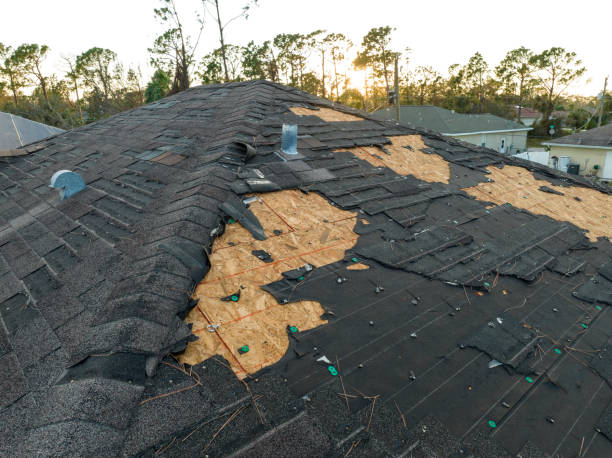 Best Cold Roofs  in Willoughby, OH